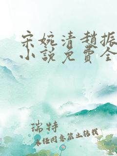 宋婉清赵振国的小说免费全文阅读