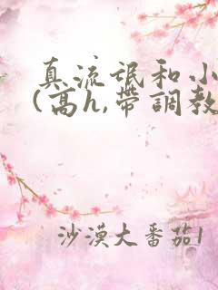 真流氓和小妖精(高h,带调教)