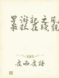 星游记之风暴法米拉在线观看