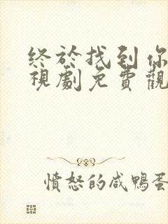 终于找到你了电视剧免费观看