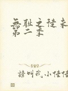 无耻之徒未删减第二季