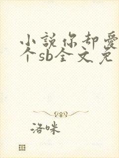 小说你却爱着一个sb全文免费阅读