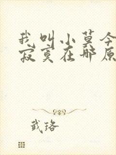 我叫小莫今天我寂寞在哪原版歌词