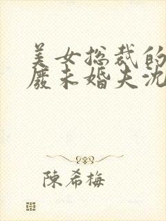 美女总裁的窝囊废未婚夫沈浪苏若雪 小说