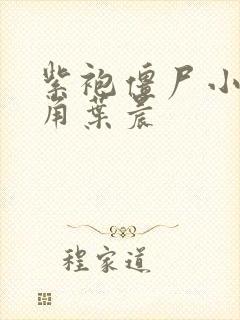 紫袍僵尸小说主角叶晨