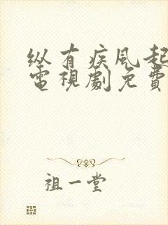 纵有疾风起全集电视剧免费观看