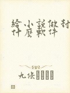 给小说做封面用什么软件