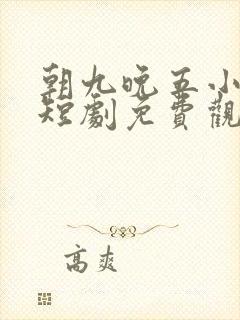 朝九晚五小保安短剧免费观看