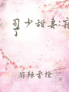 司少甜妻:宠定了