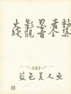 火影忍者动漫在线观看全集免费播放