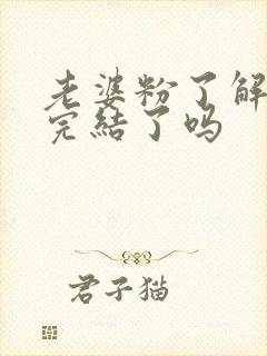 老婆粉了解一下完结了吗