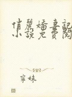 俏丽娇妻记原著小说免费阅读全文