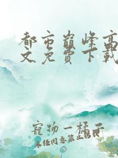 都市巅峰高手全文免费下载txt