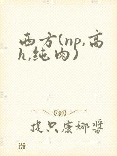 西方(np,高h,纯肉)