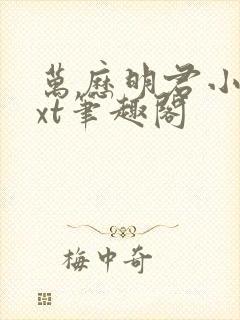 万历明君小说txt笔趣阁