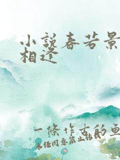 小说春若景明不相逢