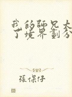 我的师兄太稳健了境界划分