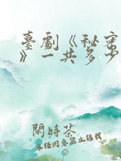 台剧《秘密关系》一共多少集