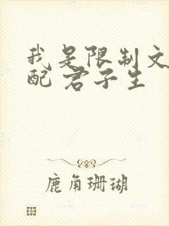 我是限制文的女配 君子生