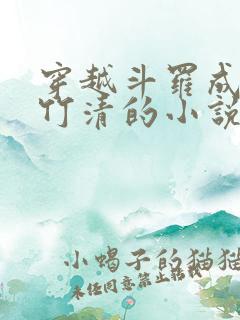 穿越斗罗成为朱竹清的小说