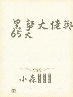 黑帮大佬与我365天