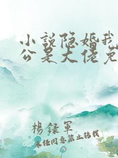 小说隐婚我的老公是大佬免费阅读