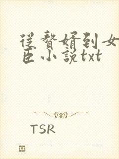 从赘婿到女帝宠臣小说txt