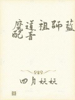 魔道祖师蓝忘机配音