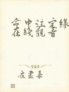 命中注定缘归来在线观看