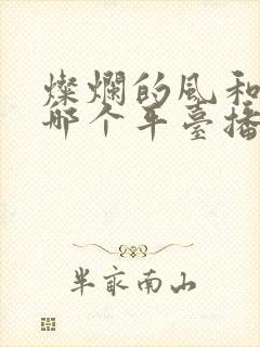 灿烂的风和海在哪个平台播出