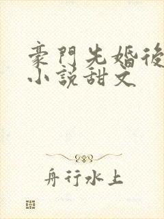 豪门先婚后爱的小说甜文