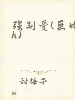 强制爱(巨肉高h)