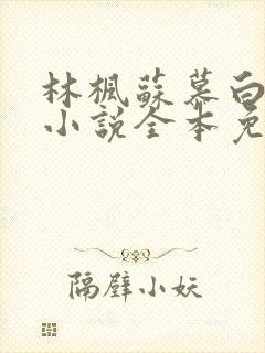 林枫苏慕白穿越小说全本免费阅读1057