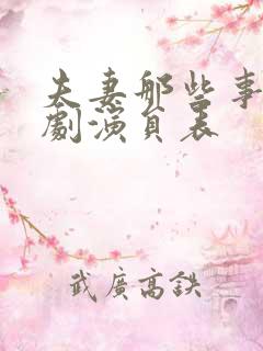 夫妻那些事电视剧演员表