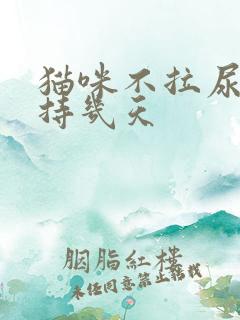 猫咪不拉尿能坚持几天