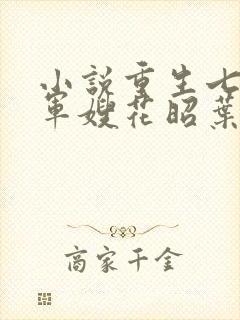 小说重生七零小军嫂花昭叶深