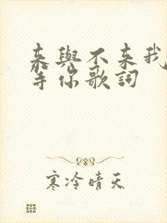 来与不来我都在等你歌词