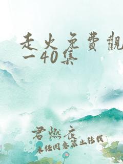 走火免费观看1一40集