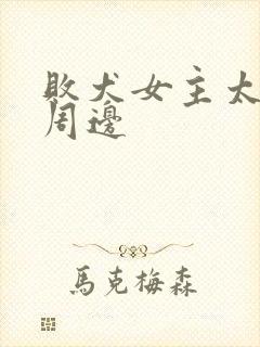 败犬女主太多了周边