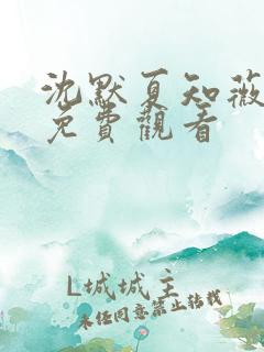 沈默夏知薇短剧免费观看