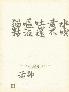 猫呕吐黄水泡沫粘液还不吃东西