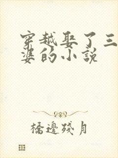 穿越娶了三个老婆的小说