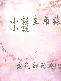 小说主角苏凡的小说