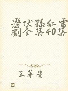 潜伏孙红雷电视剧全集40集免费观看