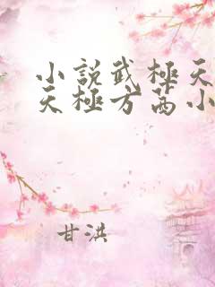 小说武极天尊陈天极方茜小说