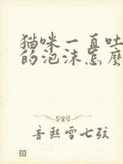 猫咪一直吐白色的泡沫怎么办