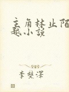 主角林止陌的穿越小说