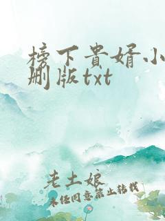 榜下贵婿小说未删版txt