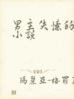男主失忆的言情小说