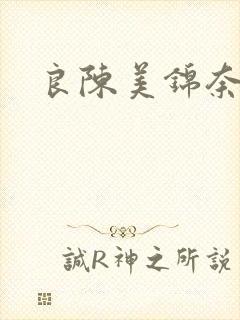 良陈美锦奈何天